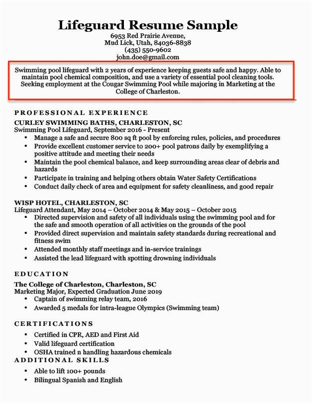 Quick Job Objectives for A Resume Samples Resume Objective Examples for Students and Professionals