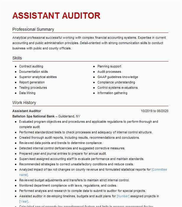 Resume Sample assist with Audit Sample assistant Auditor Resume Example San Jacinto County Cleveland Texas
