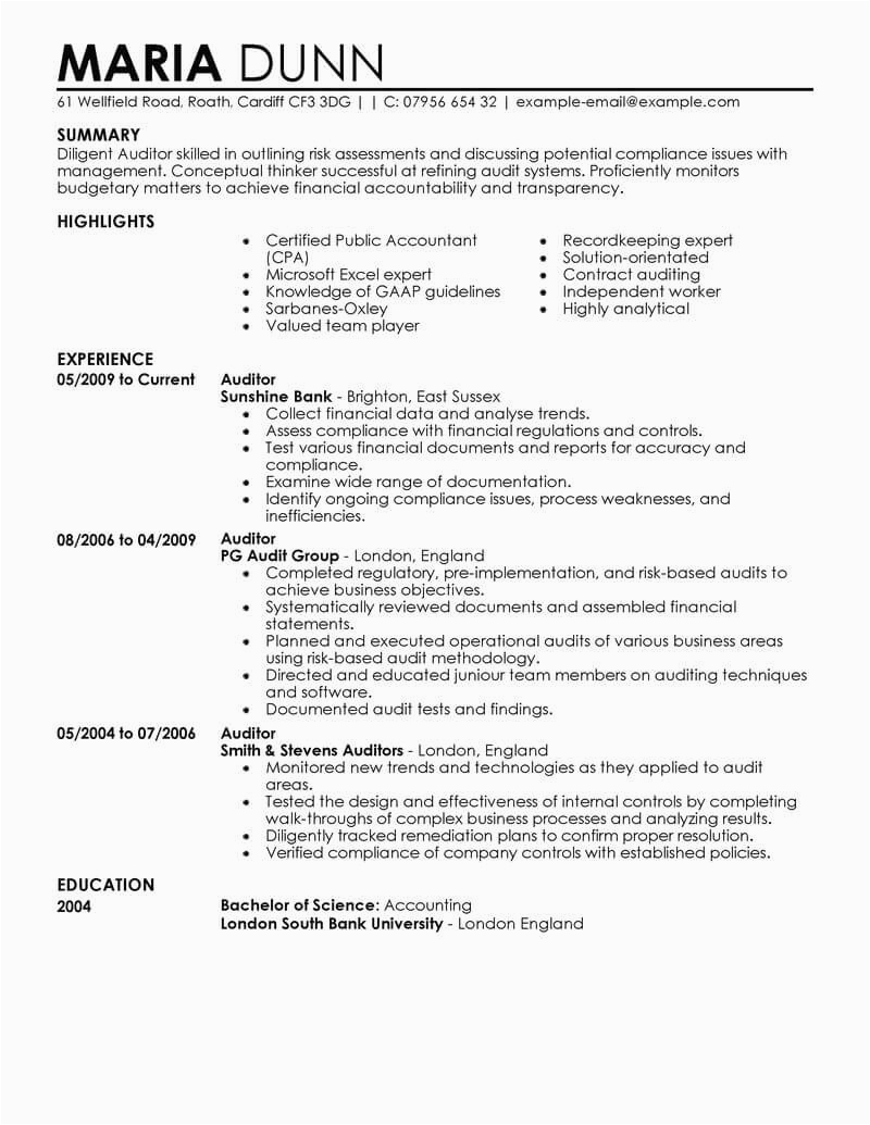 Resume Sample assist with Audit Sample Best Auditor Resume Example From Professional Resume Writing Service