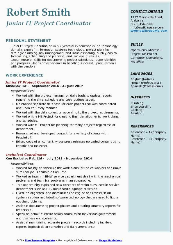Resume Sample Copy for Project Coordinator for Usa It Project Coordinator Resume Samples