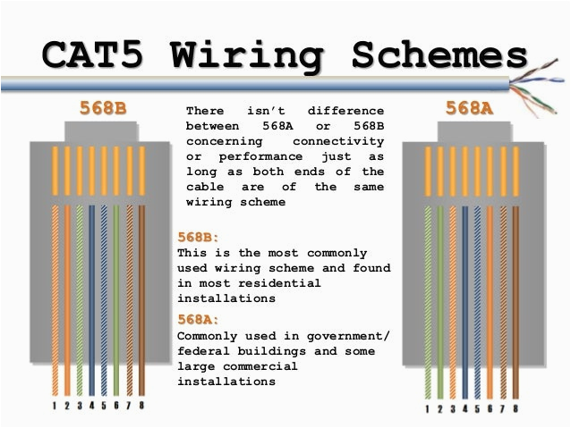 Routing Cat 5 6 Cables Resume Samples Cat 5 Connector Wiring Diagram 14 Best Cat6 Wiring Diagram Images On