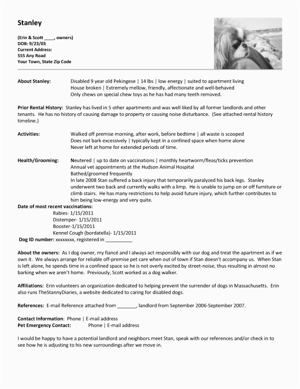 Sample Dog Resumes for House Renting Apartment Renting Create A Pet Resume Furry Babies