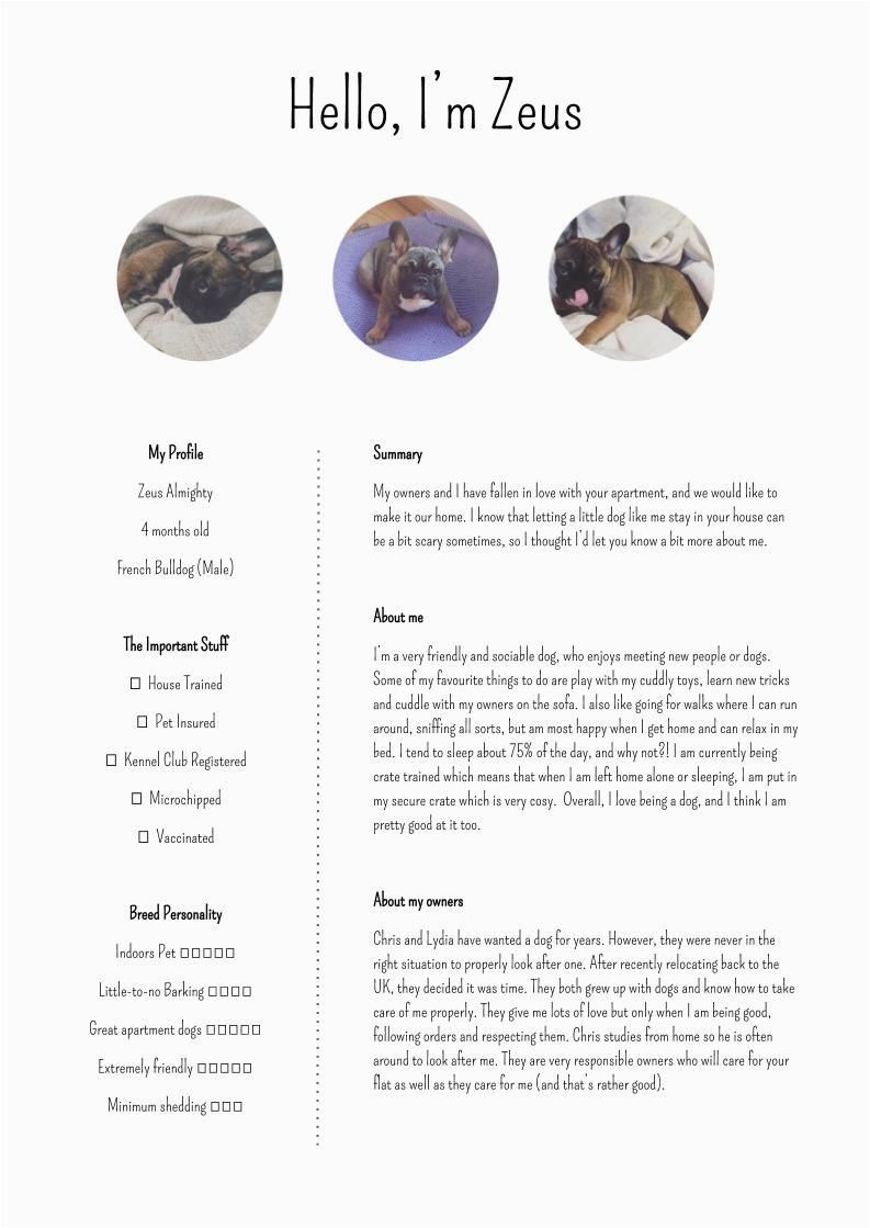 Sample Dog Resumes for House Renting Pet Resume Template for someone Looking to Rent An Apartment with A Pet