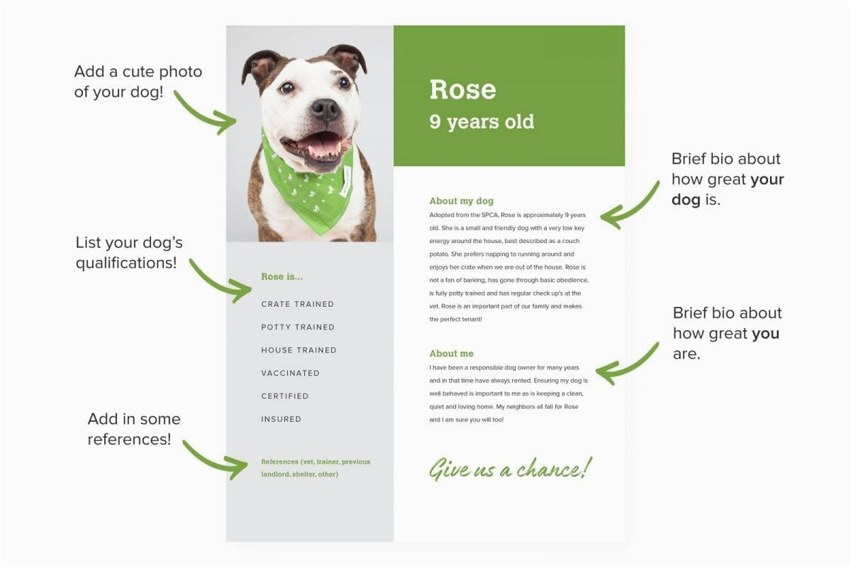 Sample Dog Resumes for House Renting Renting with A Dog Use A Pet Resume