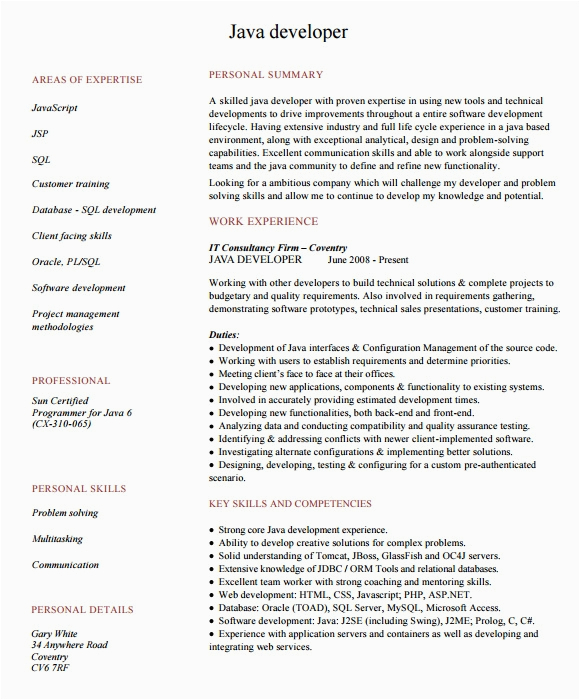 Sample Professional Resume Objective for Java Developer Free 9 Sample Java Developer Resume Templates In Pdf Psd