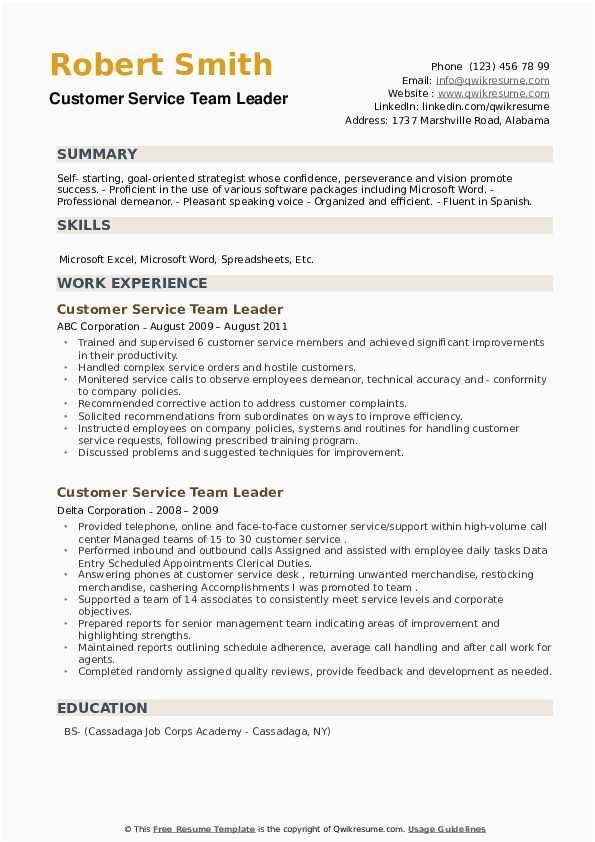 Sample Professional Services Team Lead Resumes Customer Service Team Leader Resume Samples