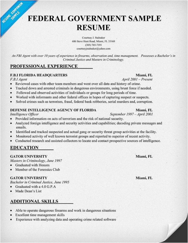 Sample Resume for A Government Position Federal Resume Template