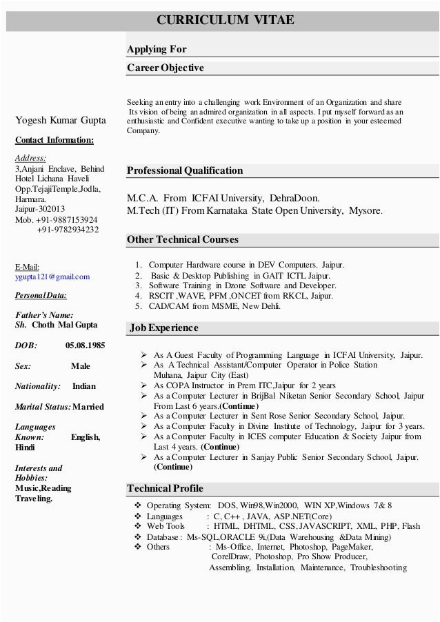 Sample Resume for associate Professor In Computer Science Resume for Puter Science Faculty