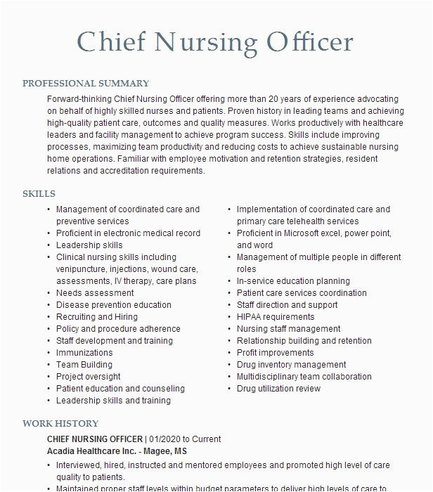 Sample Resume for asst Cheif Nursing Officer Chief Nursing Ficer Resume Example Select Specialty Hospital fort