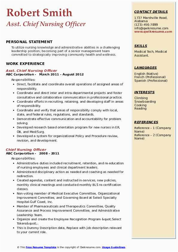 Sample Resume for asst Cheif Nursing Officer Chief Nursing Ficer Resume Samples