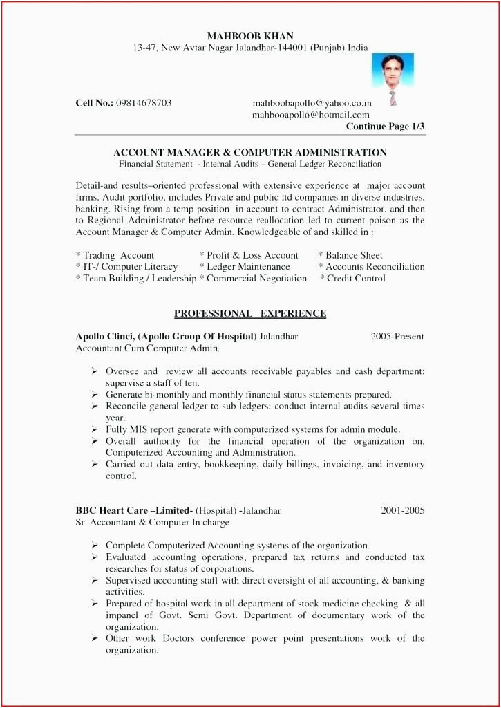 Sample Resume for Internal Auditor In India Internal Auditor Resume India Resume
