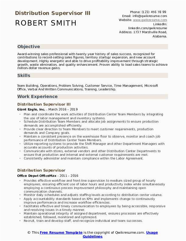 Sample Resume for Sales and Distribution Professional Summary Distribution Supervisor Resume Samples
