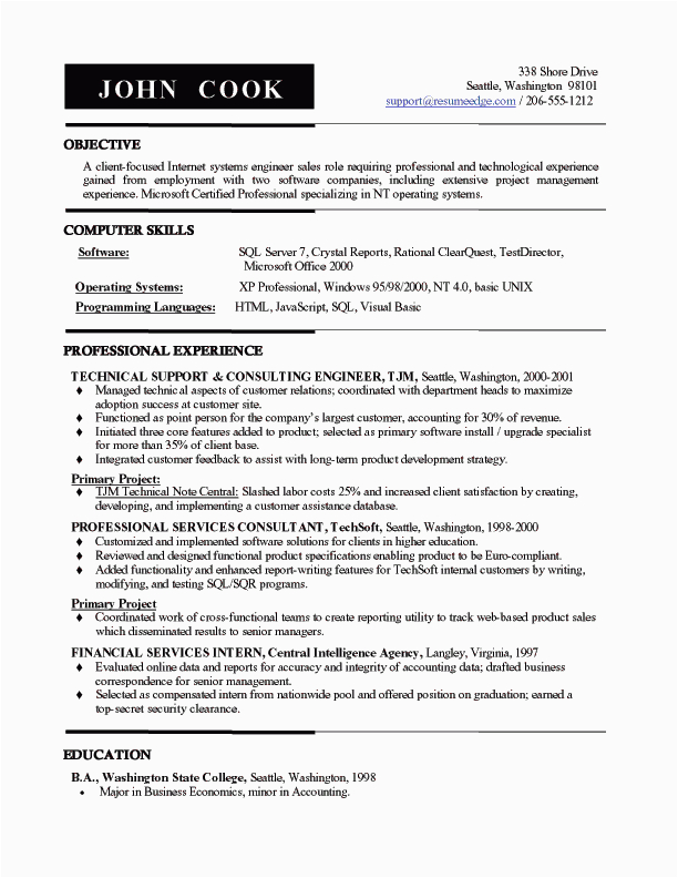 Sample Resume format for It Professional It Sales Professional Resume
