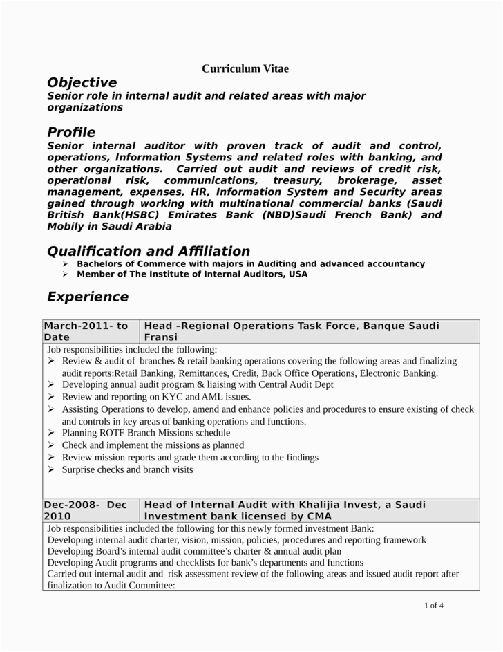 Sample Resume Objective for Internal Position Professional Internal Auditor Resume Template