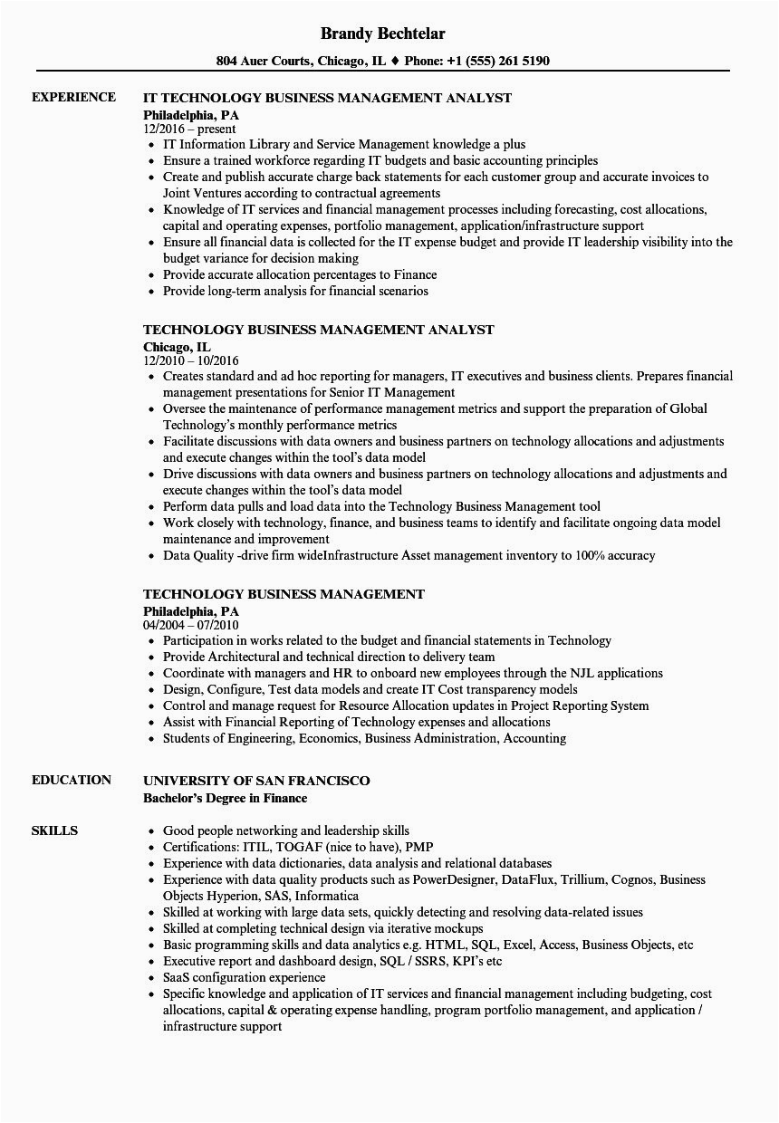Sample Resume Objective for It Company Information Technology Manager Resume Examples Elegant