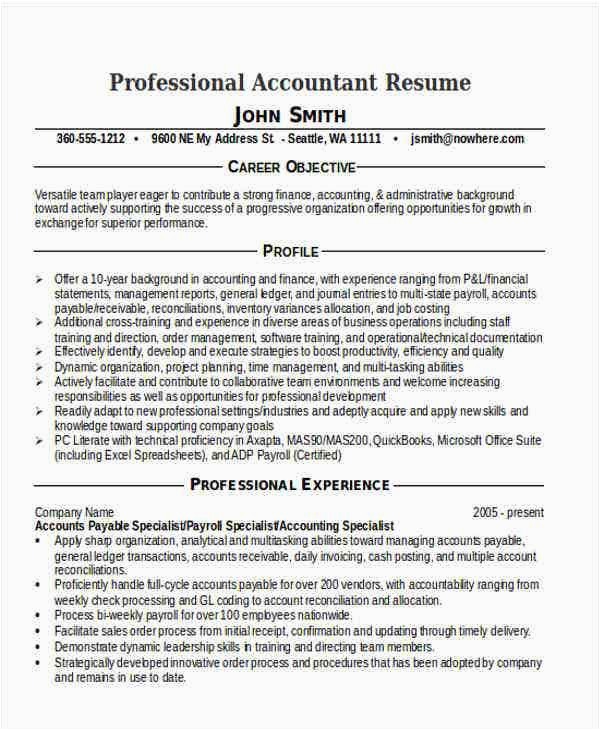 Sample Resume Professional Profile Example Accounting 39 Accountant Resumes In Doc