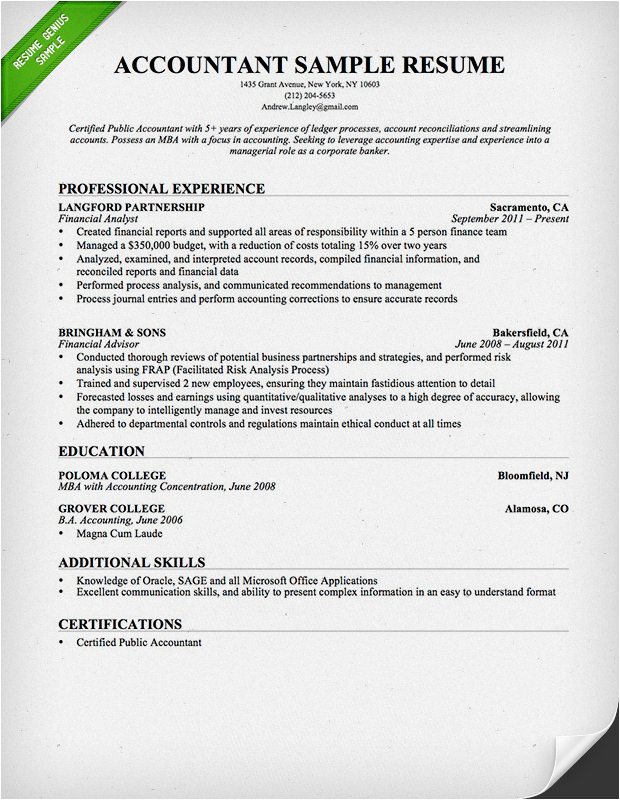 Sample Resume Professional Profile Example Accounting Accountant Resume Sample and Tips