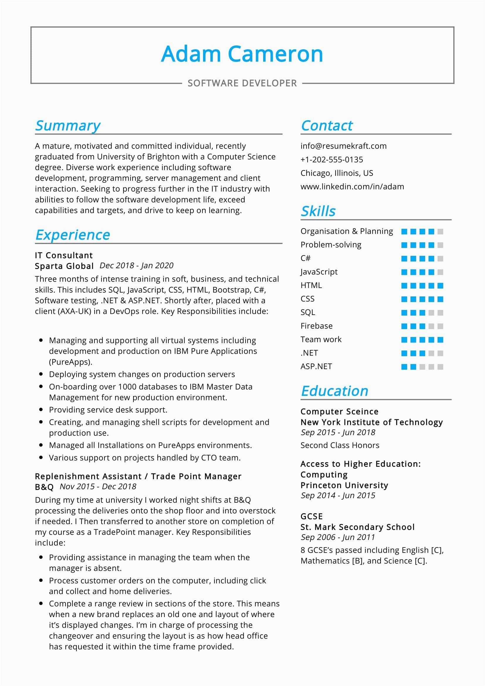 Sample Resume Template for It Professional It Consultant Resume Sample Resumekraft