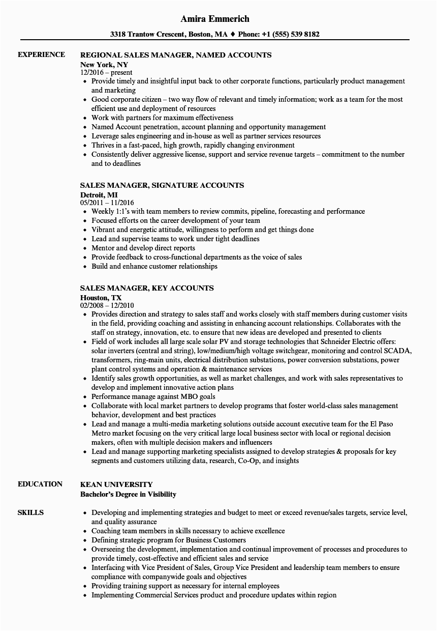 Samples Of A Sales Functional Resume Functional Sales Manager Resume Channel Sales Resume Example