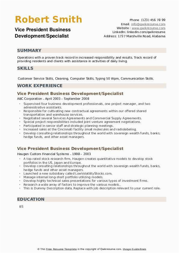 Vice President Business Development Resume Sample Vice President Business Development Resume Samples