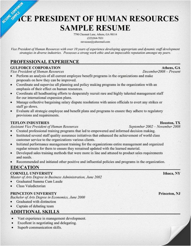 Vice President Human Resources Resume Samples Vice President Human Resources Resume Resume Panion Hr