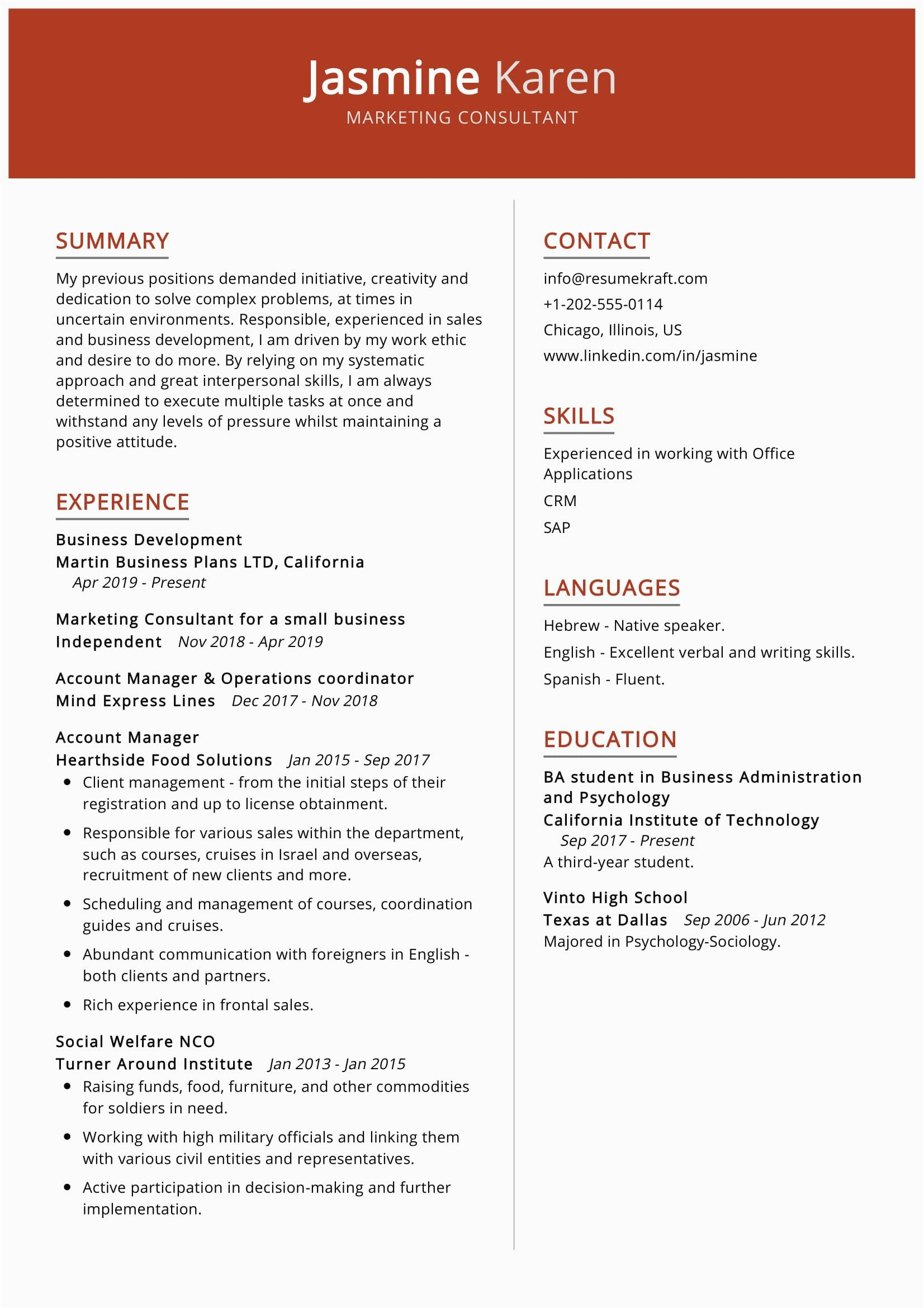 Marketing Job Responsibilities Samples for Resume Marketing Consultant Resume Sample 2021