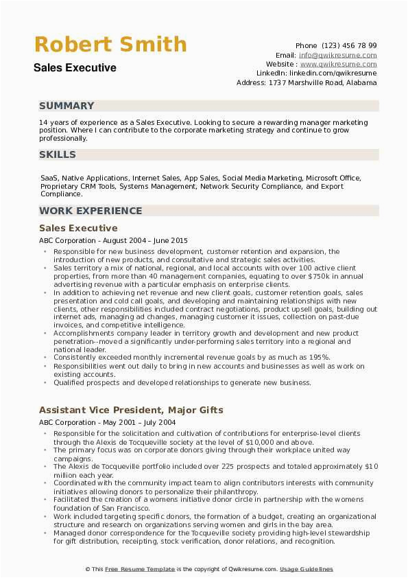 Sample Resume format for Sales Executive Sales Executive Resume Samples