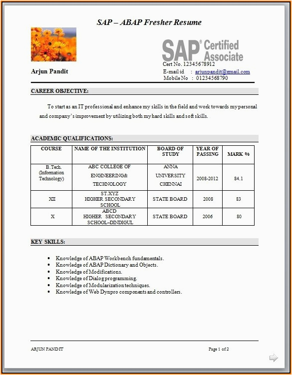 Sap Fresher Resume Sample for Fico Resume format for Sap Fico Freshers Resume Resume Examples Emvk0qw2rx