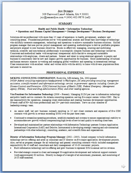 Vice President Information Technology Resume Sample Vice President Information Technology Resume Examples In Word format