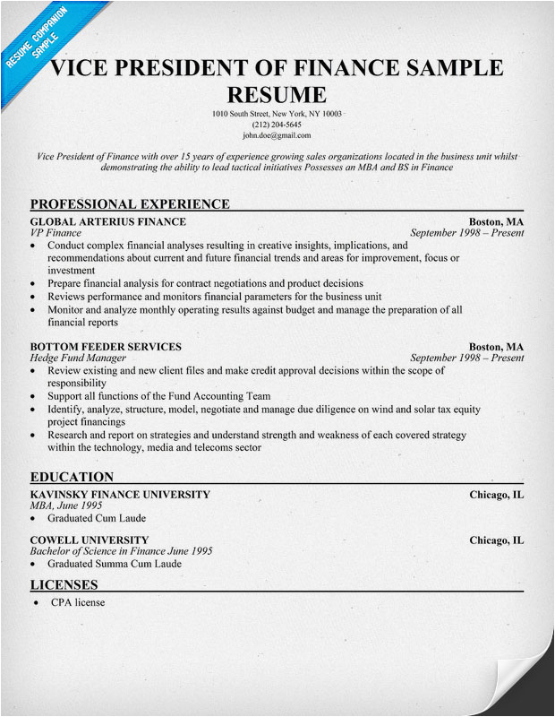 Vice President Of Finance Resume Sample Sample Resume December 2014