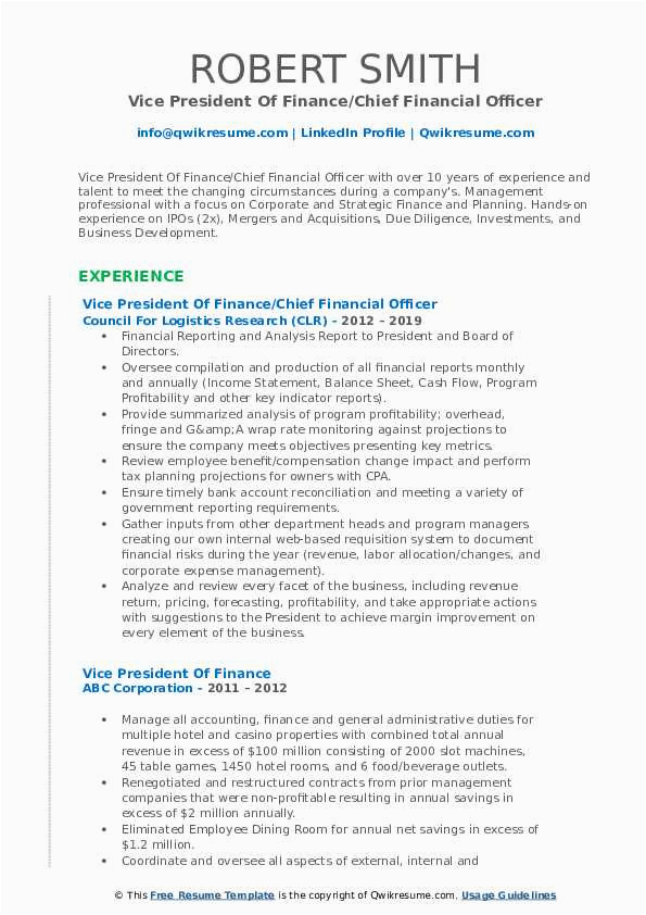 Vice President Of Finance Resume Sample Vice President Finance Resume Samples