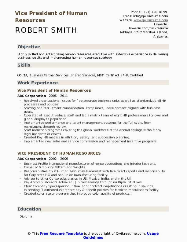 Vice President Of Human Resources Sample Resume Vice President Human Resources Resume Samples