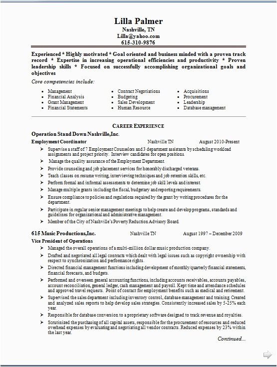 Vice President Of Operations Resume Sample Vice President Operations Resume Examples In Word format Free Download