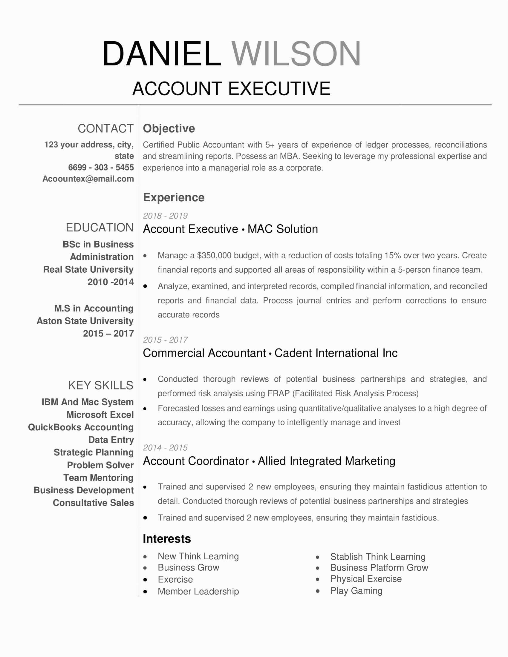 Ceo for Salon Equipment and Supplies Sample Resume Idaa Resume Template 0009 White 1 Page Account Executive No Pic V1