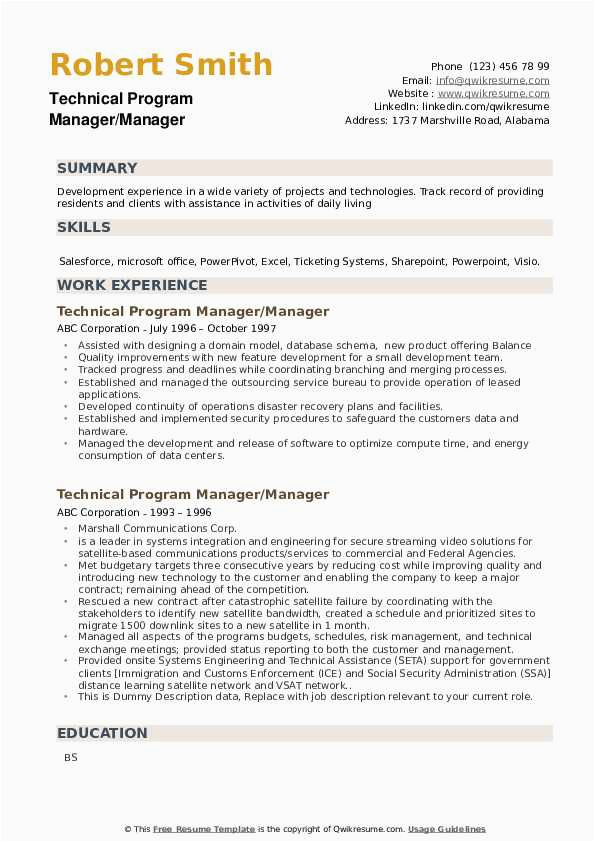 Resume Samples for Technical Program Managers Technical Program Manager Resume Samples