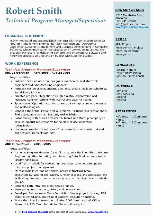 Resume Samples for Technical Program Managers Technical Program Manager Resume Samples