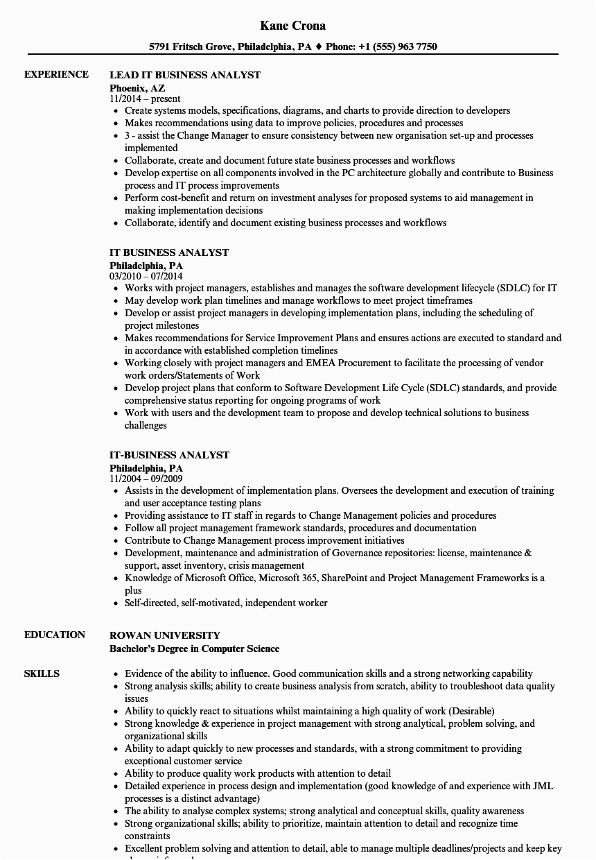 Sample Resume for It Business Analyst Position Download Business Analyst Resume Summary