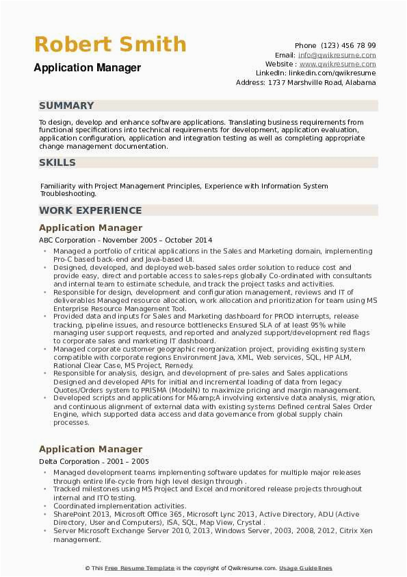 Sample Resume for It Job Applications Application Manager Resume Samples