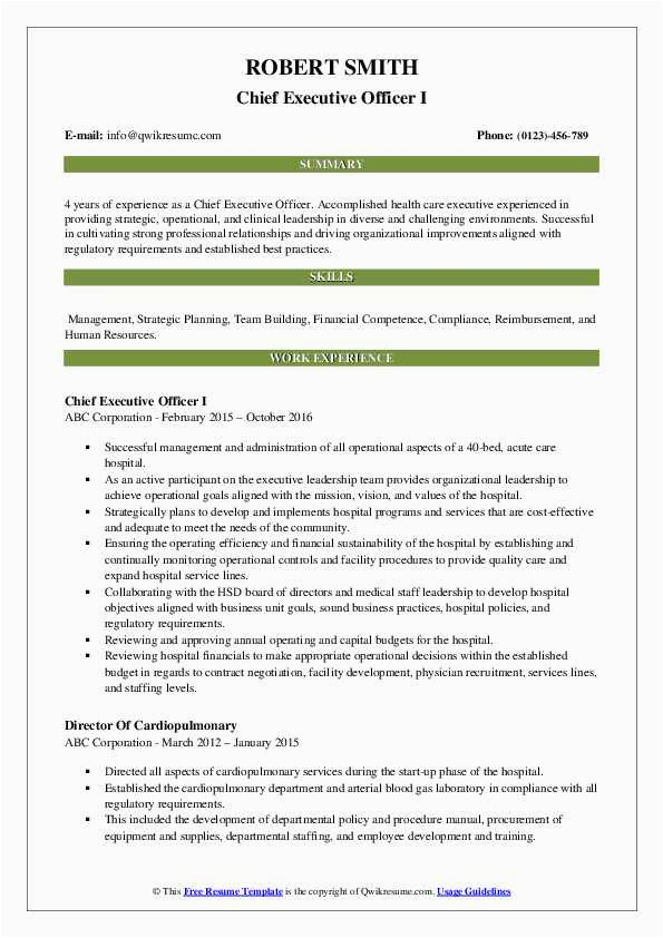 Sample Resume Of Chief Executive Officer Chief Executive Ficer Resume Samples