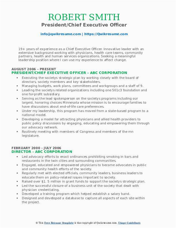 Sample Resume Of Chief Executive Officer Chief Executive Ficer Resume Samples