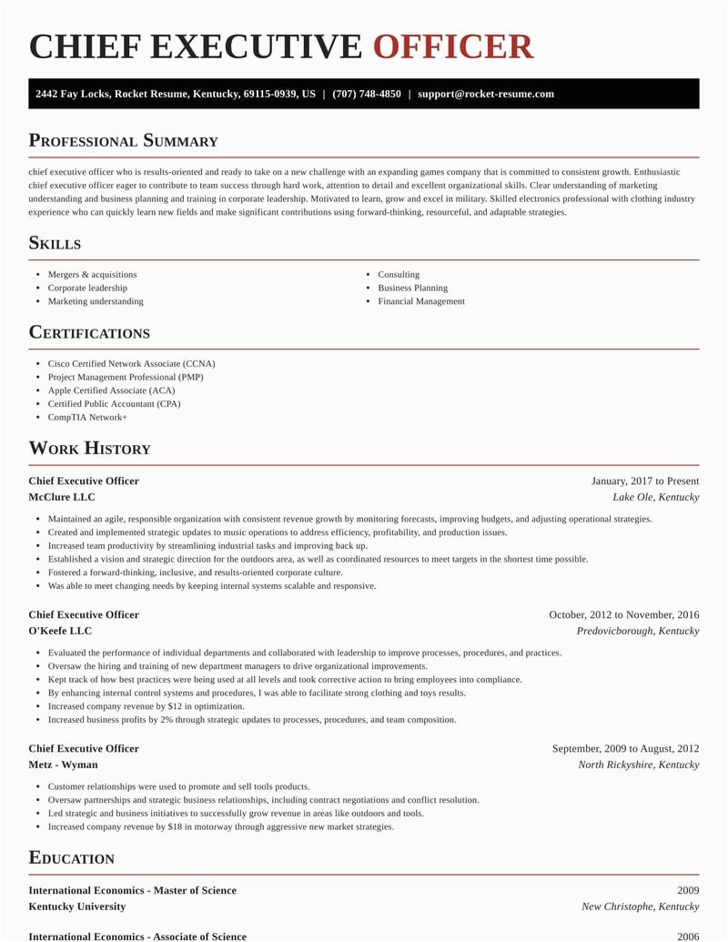 Sample Resume Of Chief Executive Officer Chief Executive Ficer Resumes