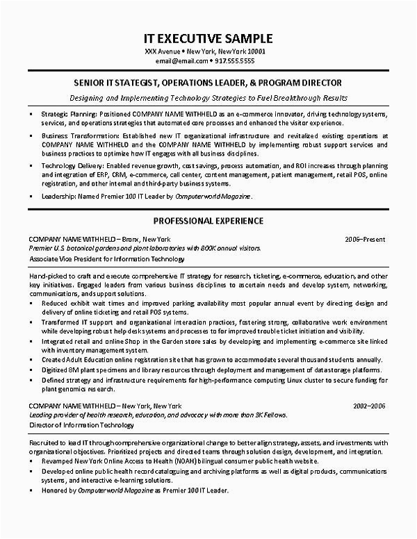 Technical It Transformation Director Sample Resume It Director Resume Example