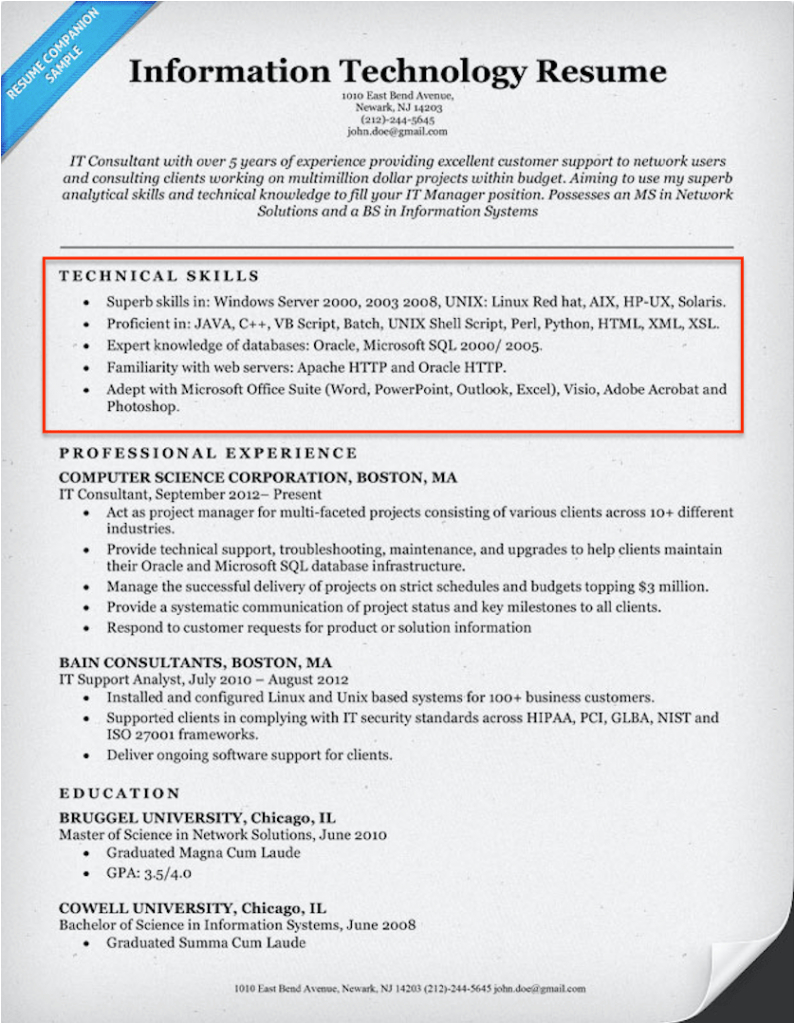 Technical Skills On Resume Sample Information Technology 20 Skills for Resumes Examples Included