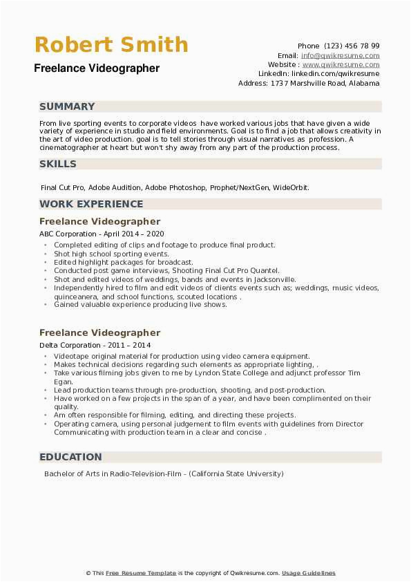 Video Producer and Technical Director Resume Sample Freelance Videographer Resume Samples