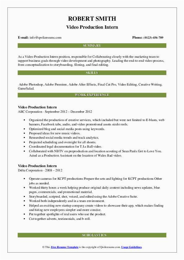 Video Production Company Business Resume Sample Video Production Intern Resume Samples