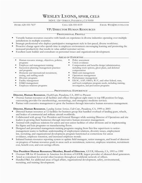 Vp Of Human Resources Resume Sample Sample Resume for Vp Director Of Human Resources