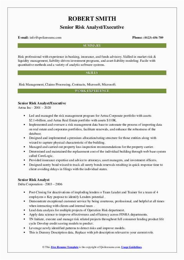 Federal Resume Project Healthcare Samples Risk Analyst Senior Risk Analyst Resume Samples