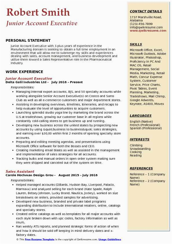 Full Time Resume Samples for Juior Level In Usa Junior Account Executive Resume Samples