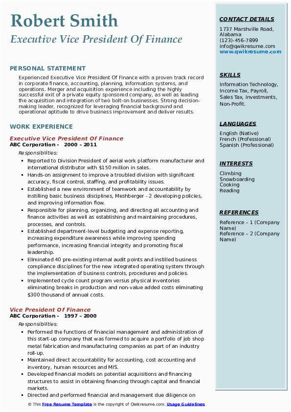 Private Equity Vice President Resume Sample Vice President Finance Resume Samples