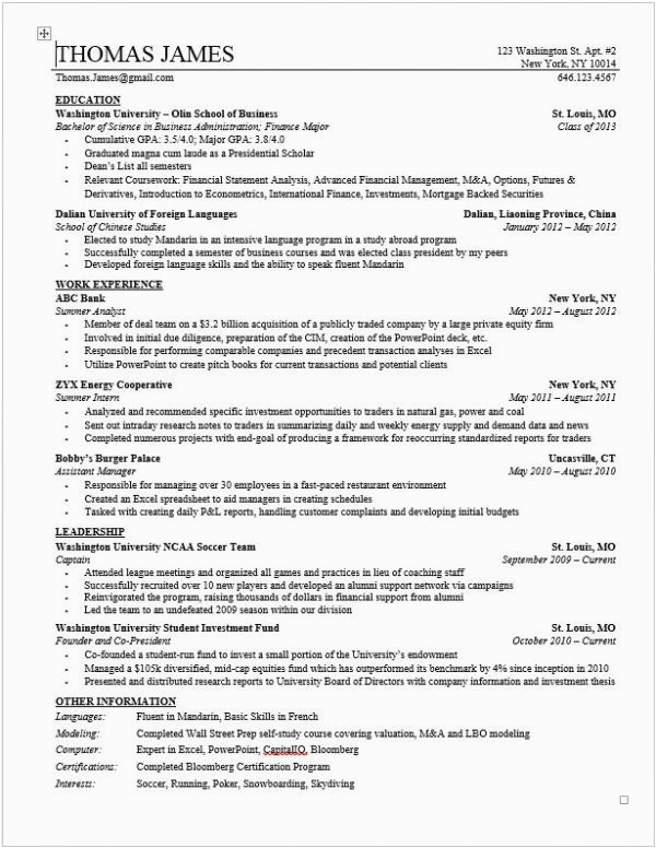 Real Estate Private Equity Resume Sample Private Equity Resume Template